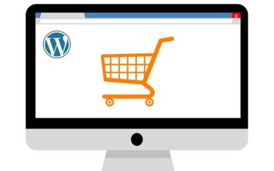 Formation WordPress Ecommerce-Bases Graphiques