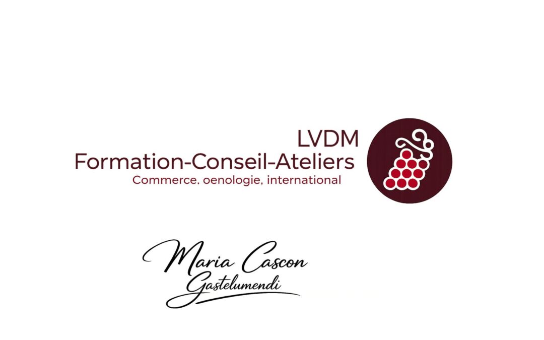 LVDM Conseil & Formation : transmettre, accompagner et développer les compétences
